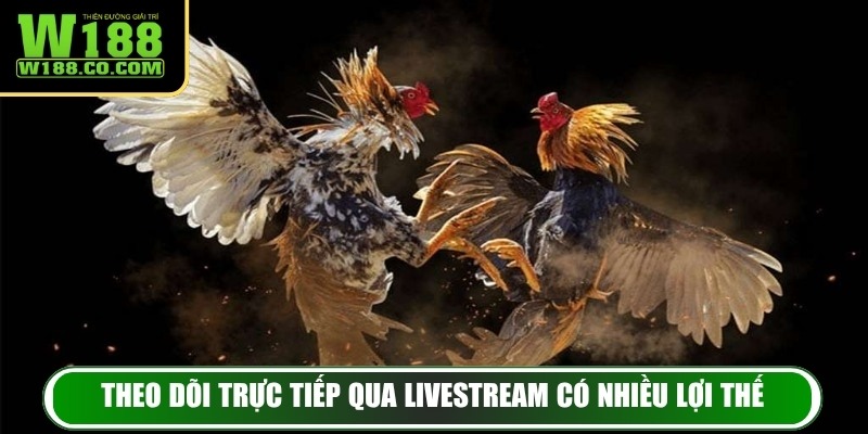 Đá Gà W188 – Trải Nghiệm Đẳng Cấp, Đấu Trường Gay Cấn 4 Theo dõi trực tiếp qua livestream có nhiều lợi thế
