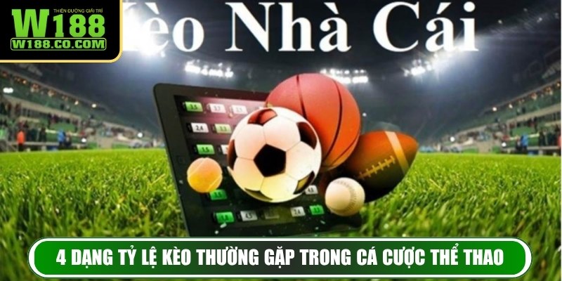 4 dạng tỷ lệ kèo thường gặp trong cá cược thể thao